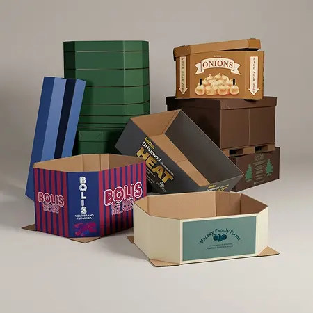 Cardboard